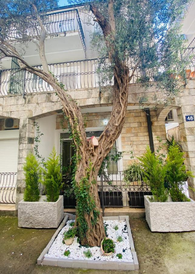 Apartment Oliva1 Petrovac Eksteriør billede